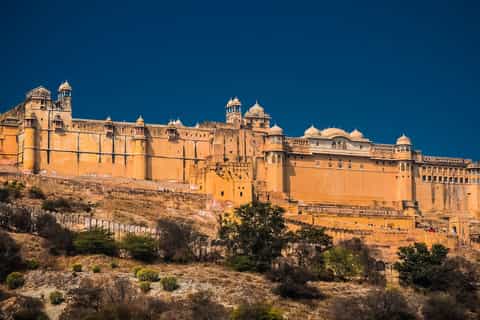 Jaipur: Amer Fort Fast-Track Entry & Optional Guide/Transfer