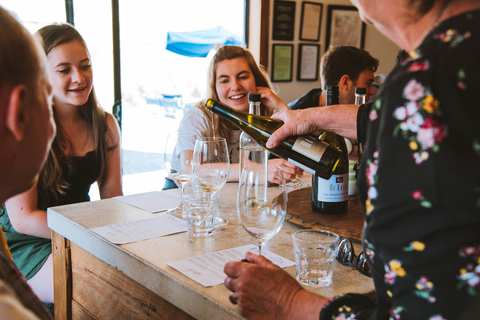 Queenstown: Wine Tasting Tour