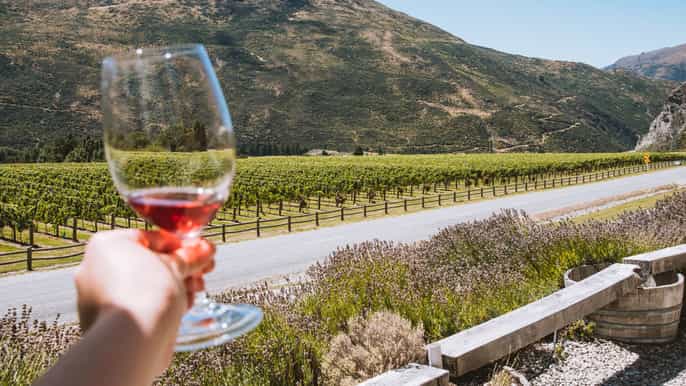queenstown small group wine sampler tour
