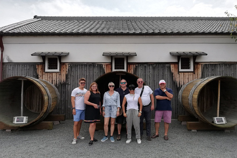 Tour por la cervecería de sake de Kioto