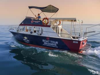 Vanuit Lazise: Zuidkust Gardameer Cruise naar Sirmione