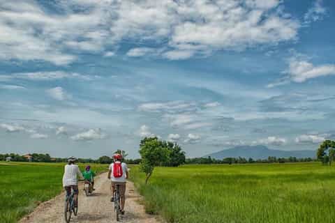 Sukhothai: tour de medio día en bicicleta por el campo