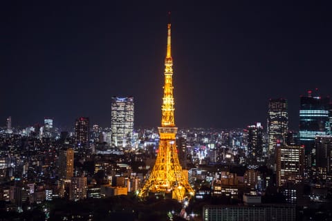 Tokyo Tower Admission Ticket - Image 2