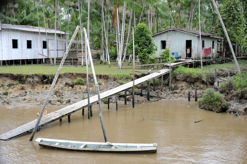 Belém: Half-Day Furos Boat Tour & Riverside Community Visit Half-Day Furos Boat Tour with Meeting Point