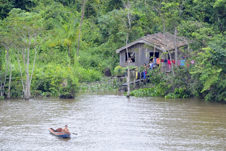 Belém: Half-Day Furos Boat Tour & Riverside Community Visit Half-Day Furos Boat Tour with Meeting Point