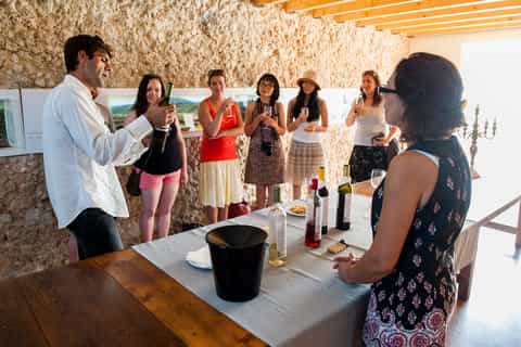 Arrábida and Sesimbra Day Tour & Wine Tasting