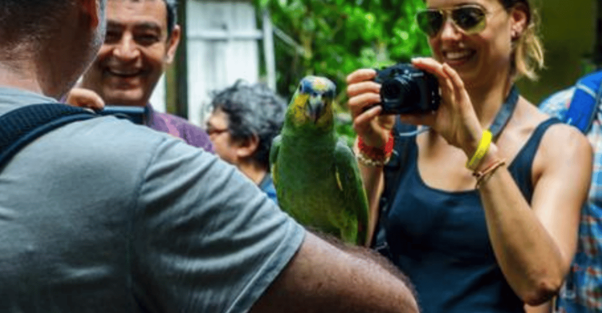 Belém: Ilha dos Papagaios Birdwatching Sunrise Tour