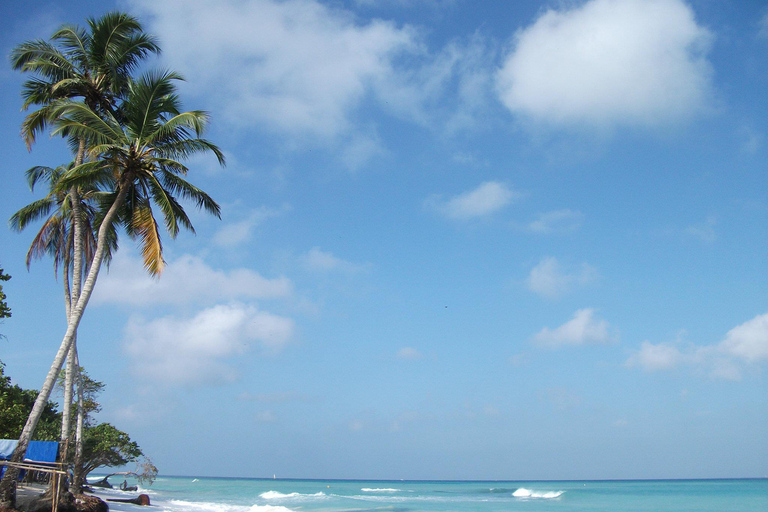Tour di un&#039;intera giornata alla spiaggia bianca di Baru con pranzo