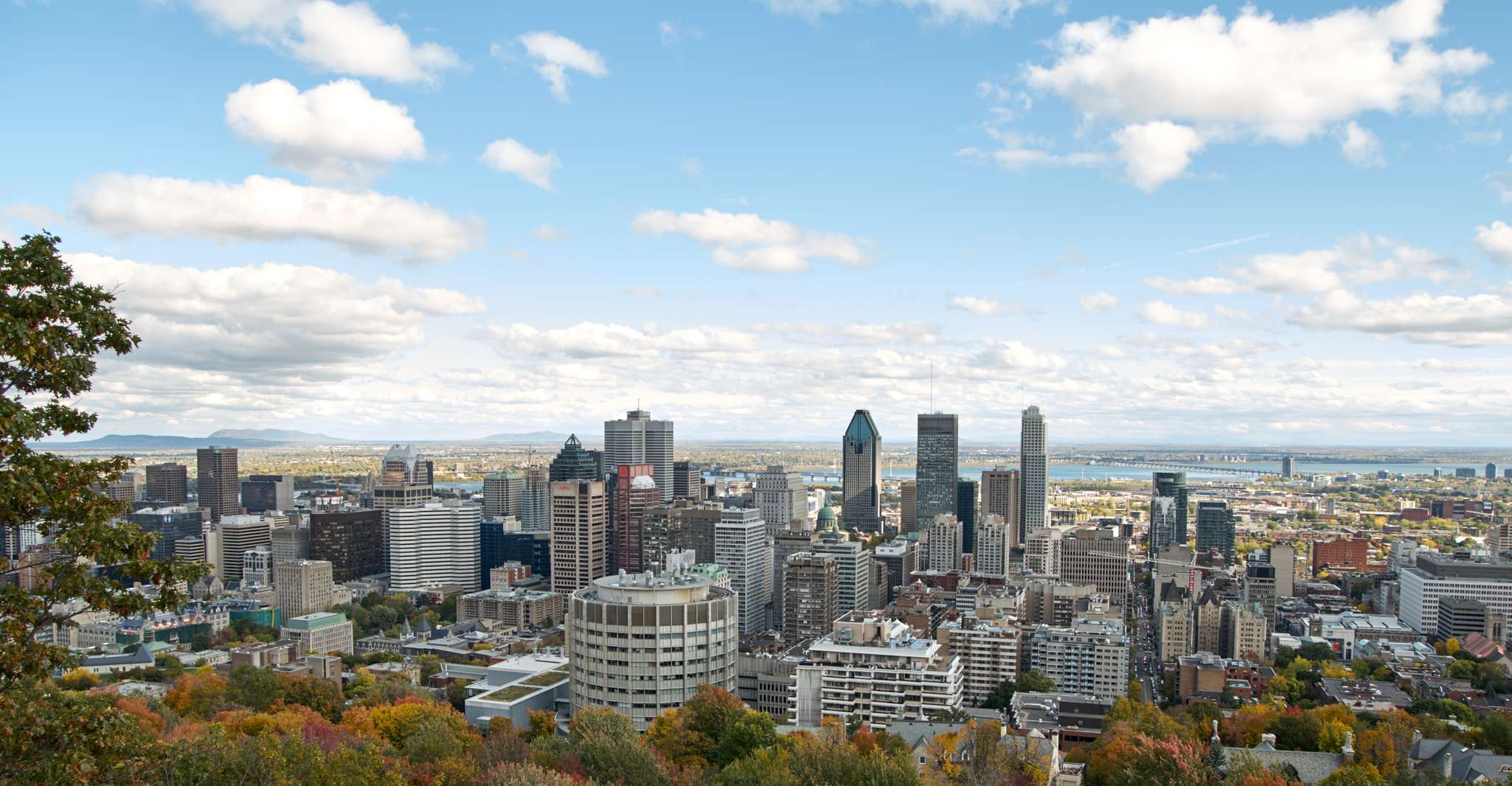 Montreal: Half-Day City Tour photo 2