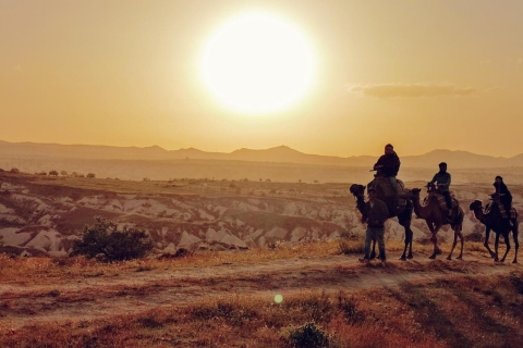 Cappadoce : Safari à dos de chameau