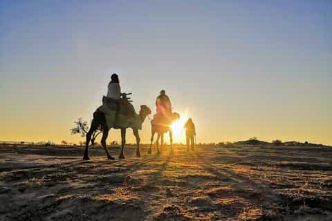Cappadocia: 1.5-Hour Camel Safari Ride