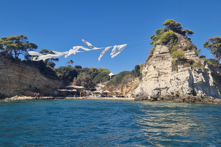 Zakynthos: Small Group Turtle Tour with Swim Stops
