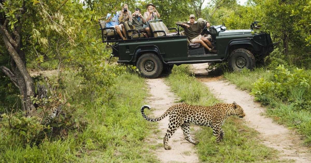 south africa safari near durban