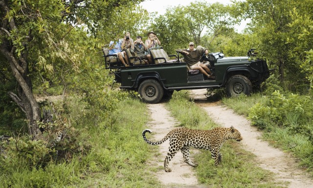 Visit Durban Full-Day Big 5 Safari @ Manyoni Private Game Reserve in Ballito, KwaZulu-Natal, South Africa