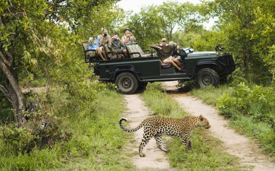 Durban: Ganztägige Big 5 Private Game Reserve Safari w. Mittagessen