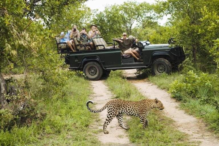 Durban: Big 5-safari van een hele dag @ Manyoni Private Game ReserveDurban: Big 5 Private Game Reserve Safari met hele dag w. Lunch