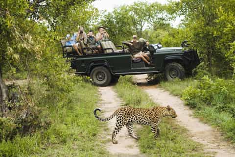 Durban: Full-Day Big 5 Private Game Reserve Safari w. Lunch