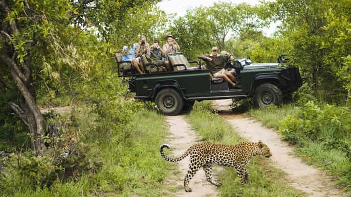 durban fullday big 5 private game reserve safari w. lunch
