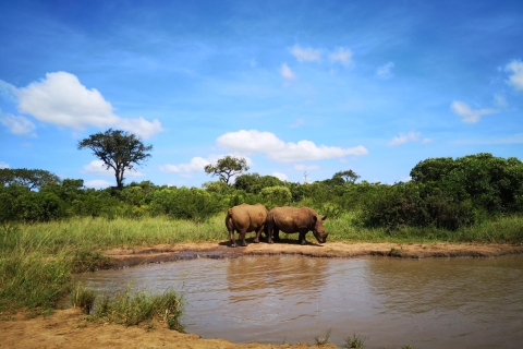 Durban: Hluhluwe Big 5 Safari avec jumelles Pro Zeiss