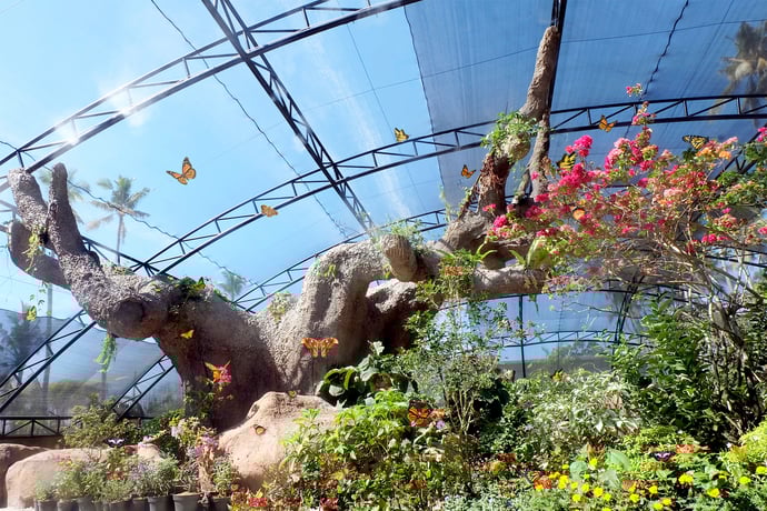 Balitopia Butterfly Park Вход и дополнительный пляжный клуб