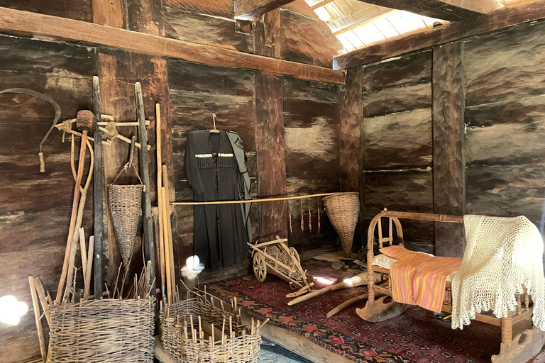 تبليسي: 12 منطقة في جورجيا - جولة مع خدمة النقل ذهابًا وإيابًا