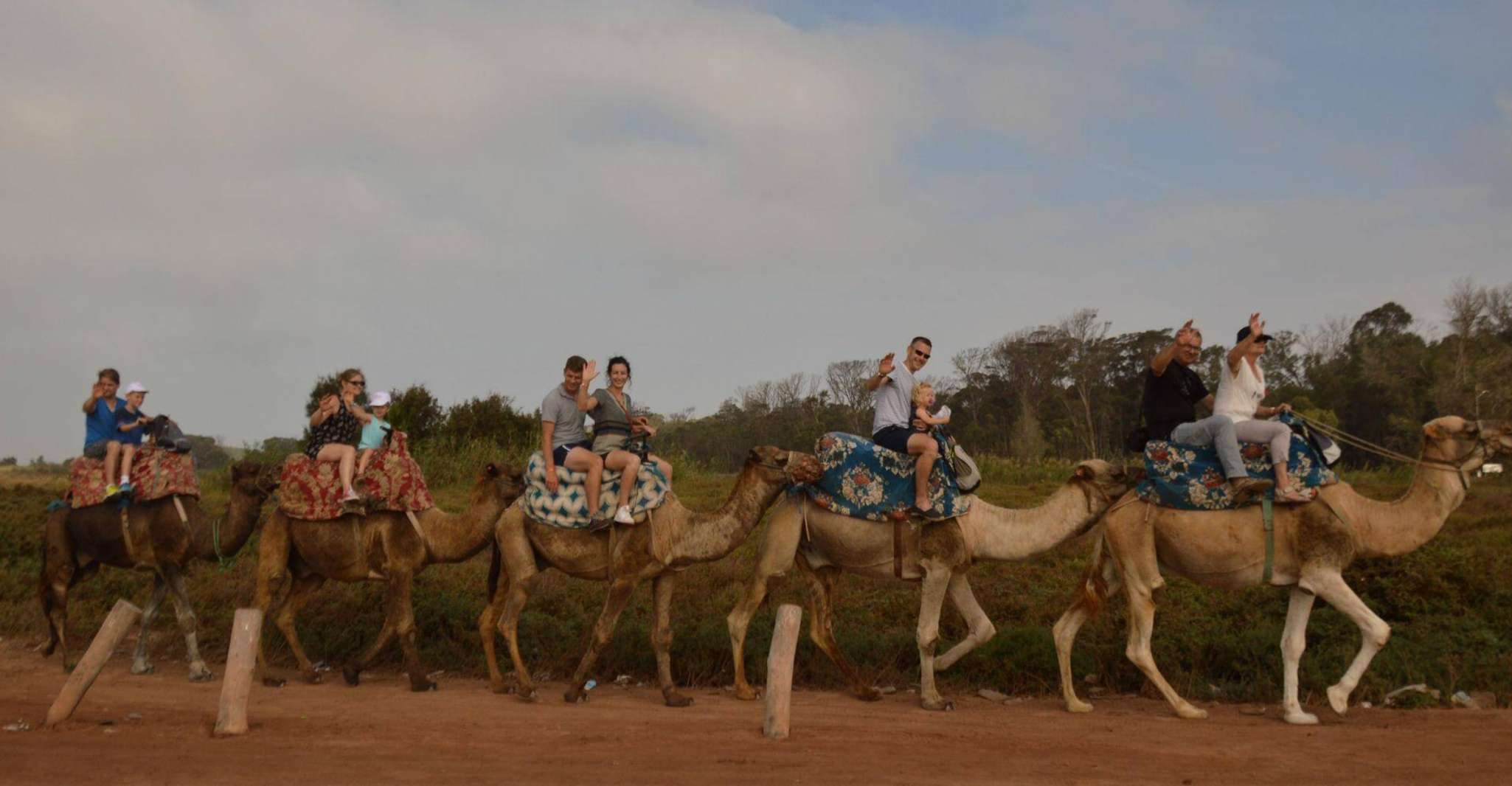 From Agadir or Taghazout, Flamingo River Camel Ride & Tea - Housity