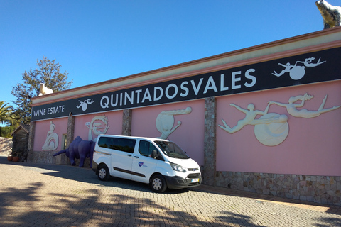 Albufeira: begeleide tour langs de kust van de Algarve met wijnproeverij