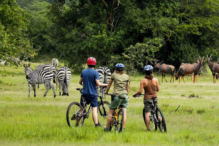 2-Day Lake Mburo Night Game Drive & Guided Bicycle Safari