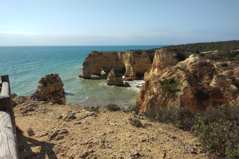 Albufeira: Geführte Tour an der Algarve-Küste mit Weinprobe