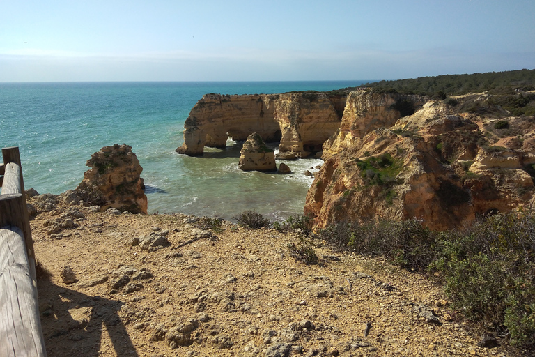 Albufeira: Geführte Tour an der Algarve-Küste mit Weinprobe