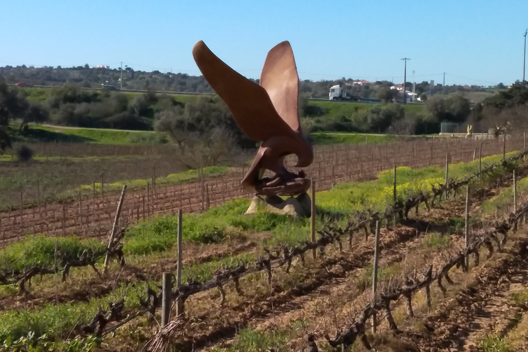 Albufeira: Geführte Tour an der Algarve-Küste mit Weinprobe