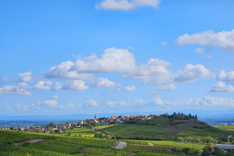 From Basel or Colmar: Baden-Württemberg Pinot Wine Tour