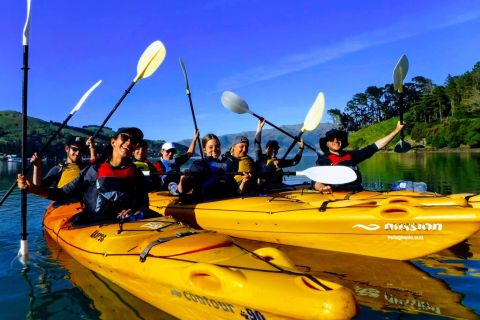 Akaroa: Electric Mountain Bike and Sea Kayak Adventure