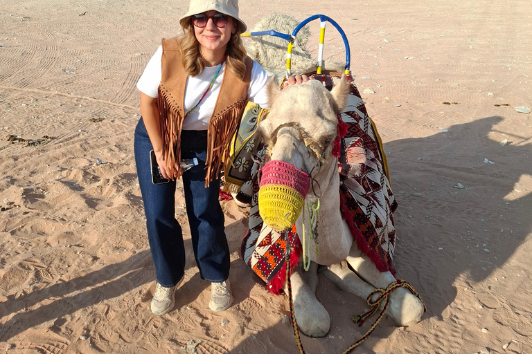 Desierto de dunas de arena : Riad