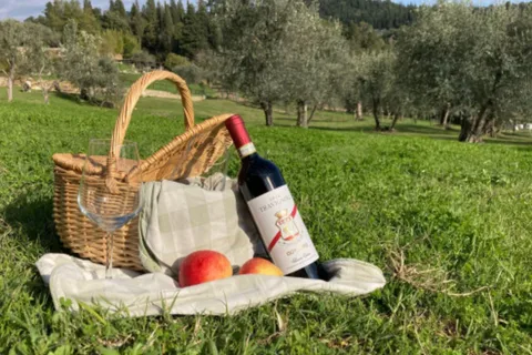 Naturpark und Picknick-Erlebnis bei Florenz
