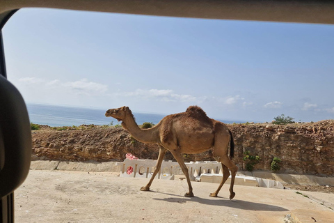 Salalah: West Side Private Tour with Off-Road Adventure