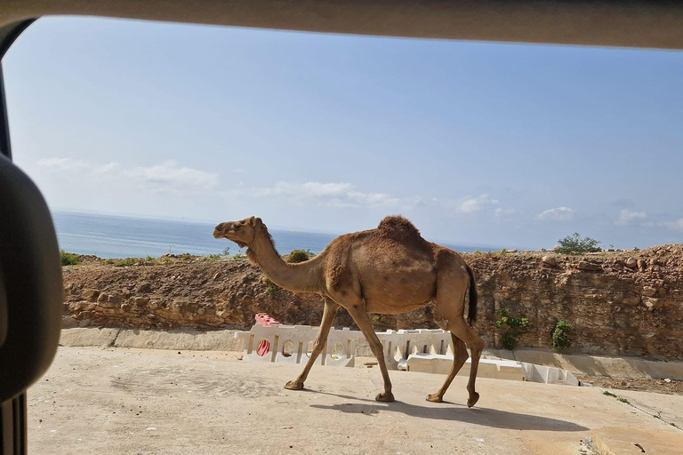 Salalah: West Side Private Tour with Off-Road Adventure