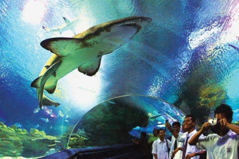 Kuala Lumpur: Bilet wstępu do Aquaria KLCCBilety dla osób spoza Malezji