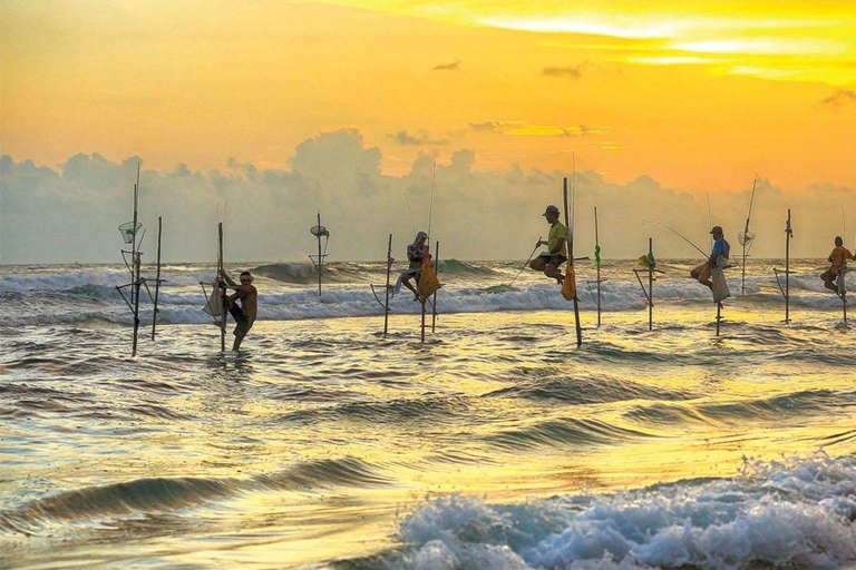 Galle Fort, Sea Turtles & Jungle Beach Private Day Tour