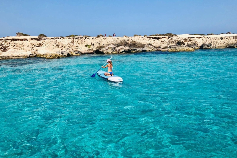 Depuis Ibiza: excursion d'une journée en voile à FormenteraVisite privée