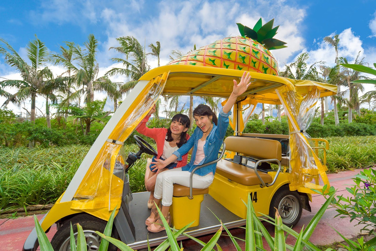 Naha: Tour turístico por el norte de Okinawa y Acuario de ChuraumiNaha: recorrido turístico por el norte de Okinawa y acuario de Churaumi