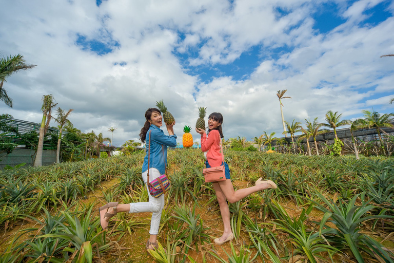 Naha: Passeio turístico pelo norte de Okinawa e Aquário Churaumi