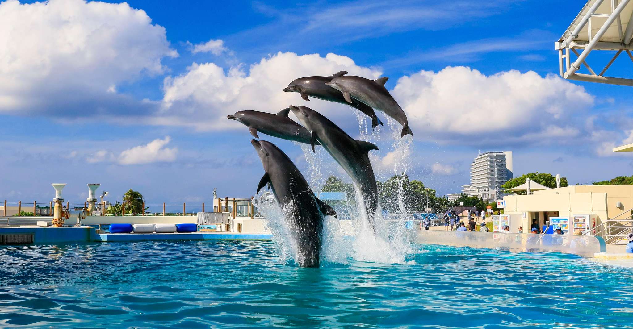 Naha、北沖縄のシッティングツアー＆チュルミ水族館 - Hizvo