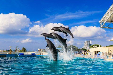 Naha: Tour turístico por el norte de Okinawa y Acuario de ChuraumiNaha: recorrido turístico por el norte de Okinawa y acuario de Churaumi