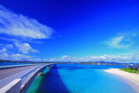 Okinawa: Bus Tour to Churaumi Aquarium with Sightseeing