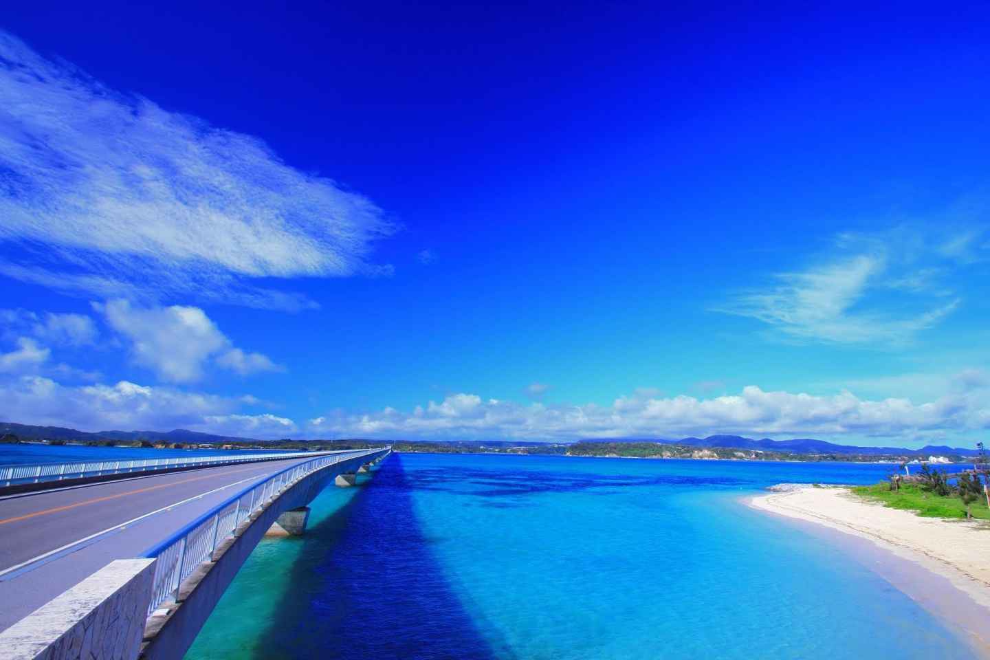 Okinawa: Bustour zum Churaumi Aquarium mit Sightseeing
