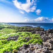 Okinawa: Bus Tour to Yanbaru National Park and Kouri Island