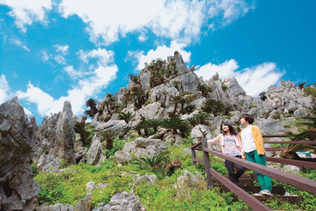 Okinawa: Bus Tour to Northern Island Hiking and Aquarium