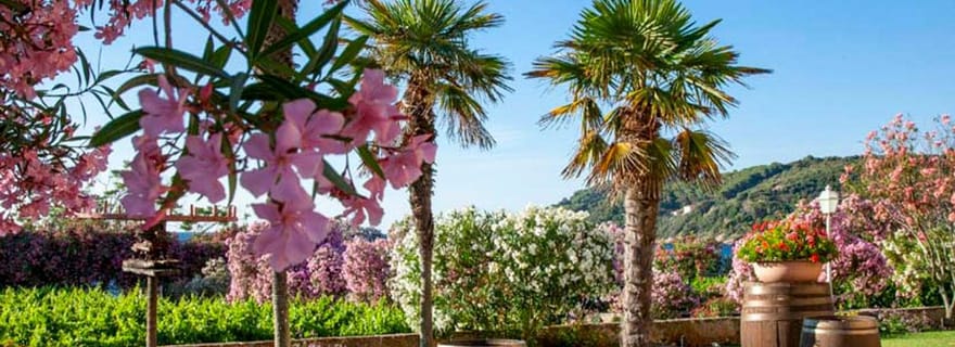 Visite à vélo aventureuse vers Tenuta la Chiusa avec dégustation