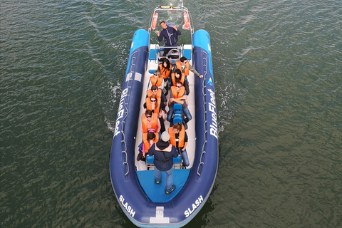 Passeio de Barco ao Algar de Benagil saindo de Lagos